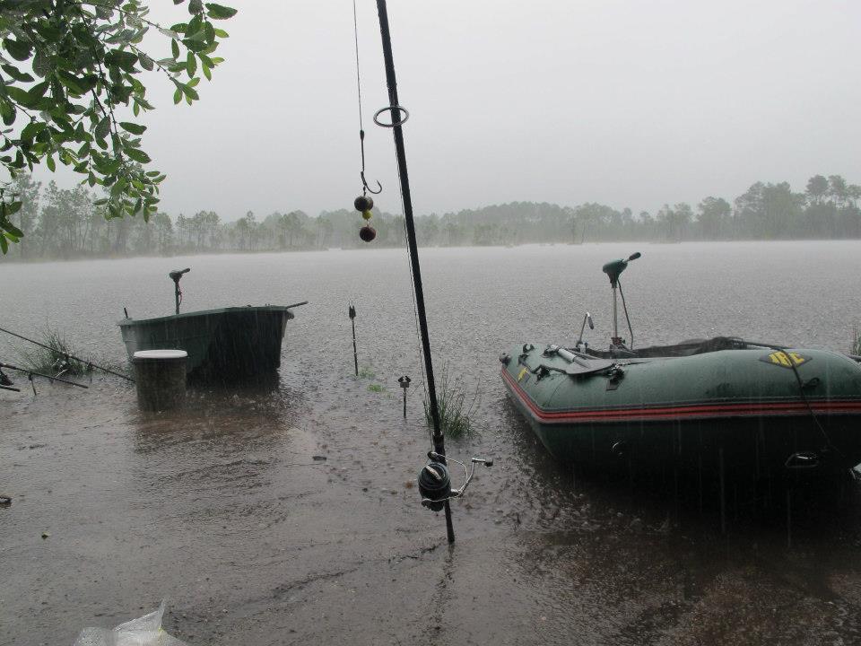 SOLAR - 941743563238543720128152637219n.jpg